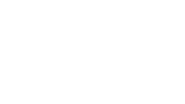 Skynews